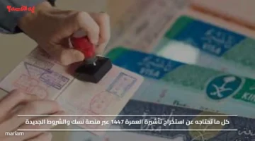 كل ما تحتاجه عن استخراج تأشيرة العمرة 1447 عبر منصة نسك والشروط الجديدة